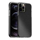 For iPhone 12 / 12 Pro Transparent Carbon Fiber  + TPU Shockproof Case(Black) - 1