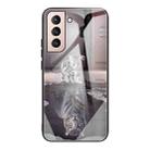 For Samsung Galaxy S21 FE Colorful Painted Glass Shockproof Protective Case(Cat) - 1
