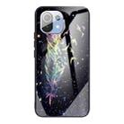 For Xiaomi Mi 11 Colorful Painted Glass Shockproof Protective Case(Feather) - 1