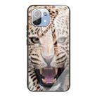 For Xiaomi Mi 11 Colorful Painted Glass Shockproof Protective Case(Leopard) - 1