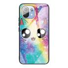 For Xiaomi Mi 11 Colorful Painted Glass Shockproof Protective Case(Big eyes animal) - 1