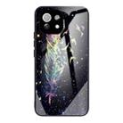 For Xiaomi Mi 11 Pro Colorful Painted Glass Shockproof Protective Case(Feather) - 1