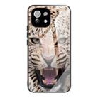 For Xiaomi Mi 11 Pro Colorful Painted Glass Shockproof Protective Case(Leopard) - 1