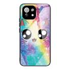 For Xiaomi Mi 11 Pro Colorful Painted Glass Shockproof Protective Case(Big eyes animal) - 1