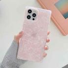 Shell Pattern Straight-Edge Soft TPU Protective Case For iPhone 11(Pink) - 1