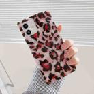 Shell Leopard Pattern Soft TPU Straight-Edge Protective Case For iPhone 12 / 12 Pro(Red) - 1