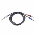 BLS0201-18 Stereo 6.35mm Male to Dual Mono 6.35mm Audio Cable, Length:1.8m - 1