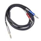 BLS0201-30 Stereo 6.35mm Male to Dual Mono 6.35mm Audio Cable, Length:3m - 1