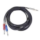 BLS0201-50 Stereo 6.35mm Male to Dual Mono 6.35mm Audio Cable, Length:5m - 1