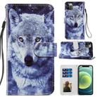 For iPhone 12 Pro Max Painted Pattern Horizontal Flip Leather Case with Holder & Card Slots & Photo Frame(White Wolf) - 1