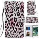 For iPhone SE 2022 / SE 2020 / 8 / 7 Painted Pattern Horizontal Flip Leather Case with Holder & Card Slots & Photo Frame(Leopard) - 1