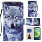 For iPhone 12 mini Painted Pattern Horizontal Flip Leather Case with Holder & Card Slots & Photo Frame (White Wolf) - 1