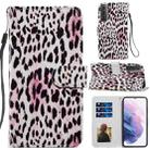 For Samsung Galaxy S21 5G Painted Pattern Horizontal Flip Leather Case with Holder & Card Slots & Photo Frame(Leopard) - 1