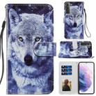 For Samsung Galaxy S21 5G Painted Pattern Horizontal Flip Leather Case with Holder & Card Slots & Photo Frame(White Wolf) - 1