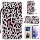 For Samsung Galaxy S21+ 5G Painted Pattern Horizontal Flip Leather Case with Holder & Card Slots & Photo Frame(Leopard) - 1