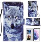 For Samsung Galaxy S21 Ultra 5G Painted Pattern Horizontal Flip Leather Case with Holder & Card Slots & Photo Frame(White Wolf) - 1