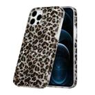 For iPhone 12 Pro Max Shell Texture Pattern Full-coverage TPU Shockproof Protective Case(Little Leopard) - 1