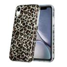 For iPhone XR Shell Texture Pattern Full-coverage TPU Shockproof Protective Case(Little Leopard) - 1