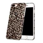 Shell Texture Pattern Full-coverage TPU Shockproof Protective Case For iPhone 7 Plus / 8 Plus(Little Leopard) - 1