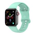 Small Size Silicone Watch Band For Apple Watch Ultra 49mm& Ultra 2 49mm / Series 9&8&7 45mm / SE 3&SE 2&6&SE&5&4 44mm / 3&2&1 42mm(Teal) - 1