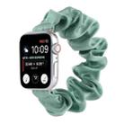 Scarf Hair Tie Watch Band For Apple Watch Ultra 49mm / Series 8&7 45mm / SE 2&6&SE&5&4 44mm / 3&2&1 42mm(Light Green) - 1