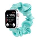 Scarf Hair Tie Watch Band For Apple Watch Ultra 49mm / Series 8&7 45mm / SE 2&6&SE&5&4 44mm / 3&2&1 42mm(Sky Blue) - 1