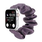 Scarf Hair Tie Watch Band For Apple Watch Ultra 49mm / Series 8&7 45mm / SE 2&6&SE&5&4 44mm / 3&2&1 42mm(Purple) - 1