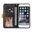For iPhone SE 2022 / SE 2020 / 8 / 7 Business Stitching-Color Horizontal Flip PU Leather Case with Holder & Card Slots & Photo Frame(Orange) - 6