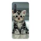 For OnePlus Nord CE 5G Colored Drawing Pattern High Transparent TPU Protective Case(Sitting Cat) - 1