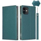 For iPhone 12 mini Litchi Genuine Leather Phone Case (Sky Blue) - 1