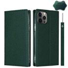 For iPhone 12 / 12 Pro Litchi Genuine Leather Phone Case(Green) - 1