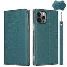 For iPhone 12 / 12 Pro Litchi Genuine Leather Phone Case(Sky Blue) - 1