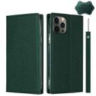 For iPhone 12 Pro Max Litchi Genuine Leather Phone Case(Green) - 1