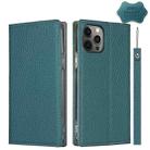 For iPhone 12 Pro Max Litchi Genuine Leather Phone Case(Sky Blue) - 1