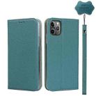 For iPhone 11 Pro Max Litchi Genuine Leather Phone Case (Sky Blue) - 1
