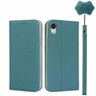 For iPhone XR Litchi Genuine Leather Phone Case(Sky Blue) - 1