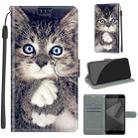 For Xiaomi Redmi Note 4X Voltage Coloured Drawing Magnetic Clasp Horizontal Flip PU Leather Case with Holder & Card Slots(C02 Fork Hand White Claw Cat) - 1