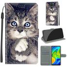 For Xiaomi Redmi Note 9/Redmi 10X 4G Voltage Coloured Drawing Magnetic Clasp Horizontal Flip PU Leather Case with Holder & Card Slots(C02 Fork Hand White Claw Cat) - 1