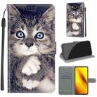 For Xiaomi Poco X3 NFC Voltage Coloured Drawing Magnetic Clasp Horizontal Flip PU Leather Case with Holder & Card Slots(C02 Fork Hand White Claw Cat) - 1