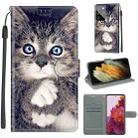 For Samsung Galaxy S21 Ultra 5G Voltage Colored Drawing Magnetic Clasp Horizontal Flip PU Leather Case with Holder & Card Slots(C02 Fork Hand White Claw Cat) - 1