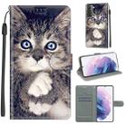 For Samsung Galaxy S21+ 5G Voltage Colored Drawing Magnetic Clasp Horizontal Flip PU Leather Case with Holder & Card Slots(C02 Fork Hand White Claw Cat) - 1