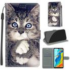 For Huawei P30 Lite Voltage Colored Drawing Magnetic Clasp Horizontal Flip PU Leather Case with Holder & Card Slots(C02 Fork Hand White Claw Cat) - 1