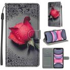 For iPhone 11 Voltage Colored Drawing Magnetic Clasp Horizontal Flip PU Leather Case with Holder & Card Slots (C14 Black Water Drop Rose) - 1