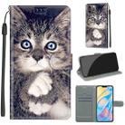 For iPhone 12 Pro Max Voltage Colored Drawing Magnetic Clasp Horizontal Flip PU Leather Case with Holder & Card Slots(C02 Fork Hand White Claw Cat) - 1