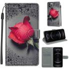 For iPhone 12 / 12 Pro Voltage Colored Drawing Magnetic Clasp Horizontal Flip PU Leather Case with Holder & Card Slots(C14 Black Water Drop Rose) - 1