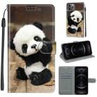 For iPhone 12 / 12 Pro Voltage Colored Drawing Magnetic Clasp Horizontal Flip PU Leather Case with Holder & Card Slots(C18 Wood Board Panda) - 1