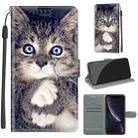 For iPhone XR Voltage Colored Drawing Magnetic Clasp Horizontal Flip PU Leather Case with Holder & Card Slots(C02 Fork Hand White Claw Cat) - 1