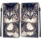 For iPhone XR Voltage Colored Drawing Magnetic Clasp Horizontal Flip PU Leather Case with Holder & Card Slots(C02 Fork Hand White Claw Cat) - 2