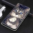 For iPhone XR Voltage Colored Drawing Magnetic Clasp Horizontal Flip PU Leather Case with Holder & Card Slots(C02 Fork Hand White Claw Cat) - 7