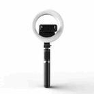 Q07 6 Inch Ring Light Portable Bluetooth Selfie Stick Tripod - 1